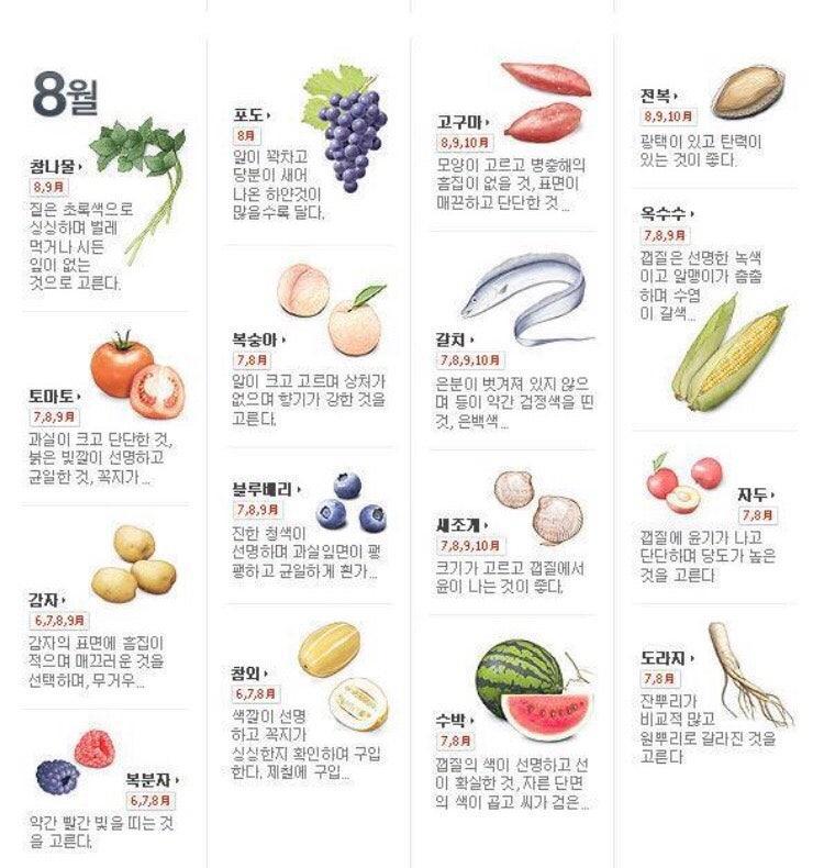 8월 제철음식 달력, 알고 나면 놀라는 여름 건강 비밀!