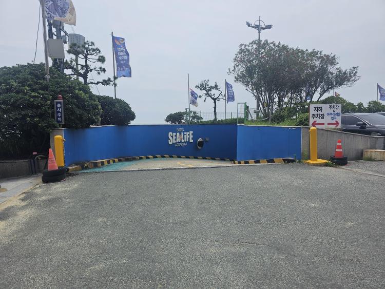 부산 아쿠아리움 주차, 주말에도 스트레스 없이 주차하는 꿀팁 대공개!
