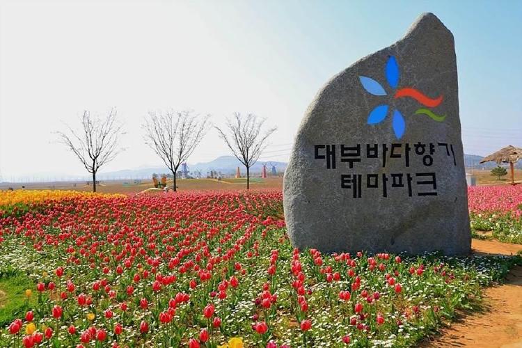 대부도 갈만한곳 아이랑, 갯벌부터 승마까지 꼭 가봐야 할 7곳