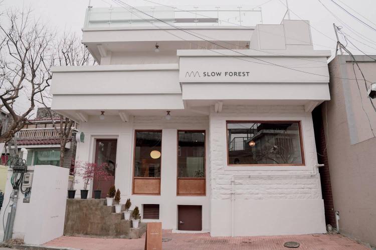 애견카페 서울, 진짜 인기 많은 곳과 꿀팁 총정리