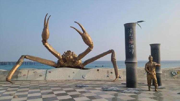 울진 아이와 가볼만한곳, 여기만 가면 가족 여행 대성공! 꼭 가봐야 할 7곳