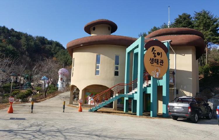 양양 가볼만한곳 아이랑, 꼭 가봐야 할 가족 여행지 7선