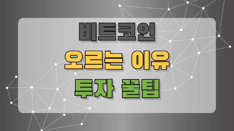 비트코인 오르는 이유, 나만 몰랐던 핵심 포인트와 투자 꿀팁