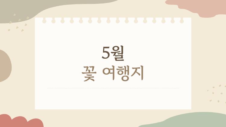5월 꽃 여행지