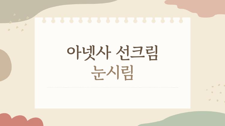 아넷사 선크림 눈시림