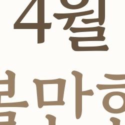 4월 가볼만한곳, 진해 벚꽃 터널에 빠져 죽을 뻔한 썰