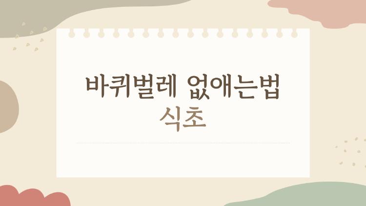 바퀴벌레 없애는법 식초