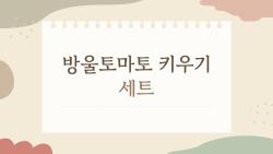 방울토마토 키우기 세트, 정말 실내에서 제대로 자랄까?