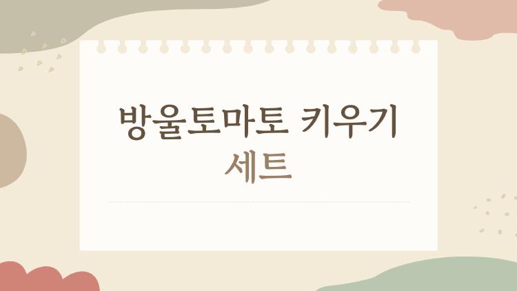 방울토마토 키우기 세트