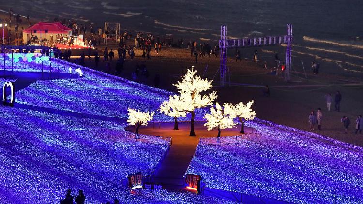 부산 2월 축제, 주차 지옥 피하는 비밀 루트 대공개!