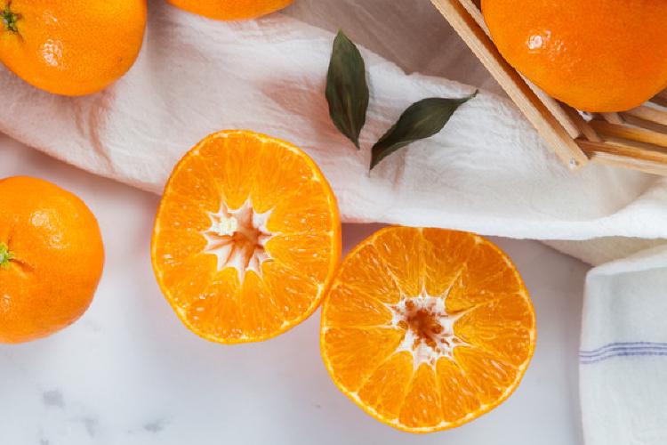 천혜향 제철 시기, 지금 안 사면 후회할 단 하나의 이유