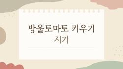 방울토마토 키우기 시기, 이때 놓치면 왜 망할까