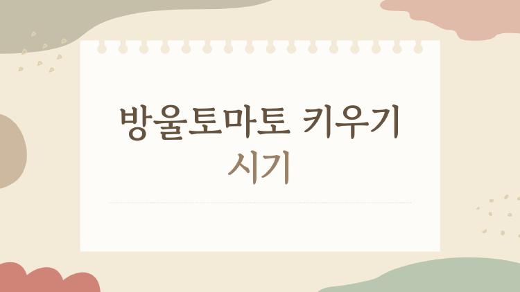 방울토마토 키우기 시기