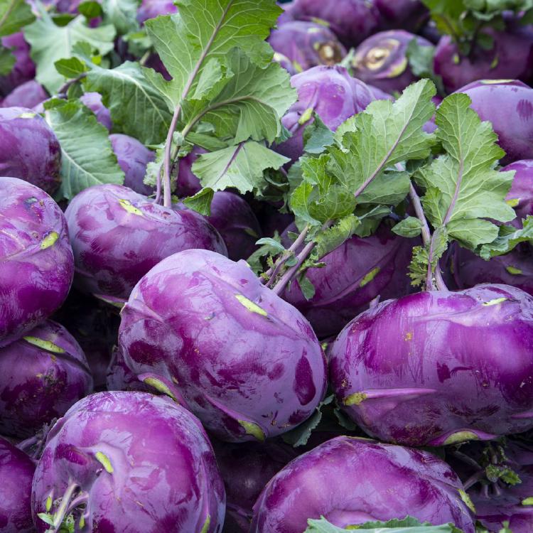 콜라비 손질 보관, 이 방법 몰랐다가 물러서 후회한 적 없어요?