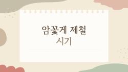 암꽃게 제철 시기 지금 사도 될까, 올해 봄이 더 기대되는 이유