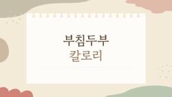 부침두부 칼로리, 90kcal에 포만감 폭발? 다이어트 꿀템 실화