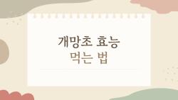 개망초 효능 먹는 법, 잡초인 줄 알았는데 면역력 폭발하는 비밀