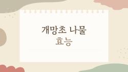 개망초 나물 효능, 봄에 뜨는 이 잡초가 건강 지킴이라니