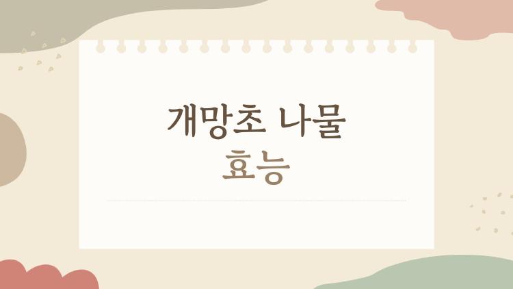 개망초 나물 효능