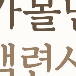 강진 가볼만한곳 백련사, 동백꽃이 미쳤어... 봄에 꼭 가야 할 이유