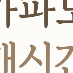 가파도 배시간 완벽 정리, 2026 봄 필수!