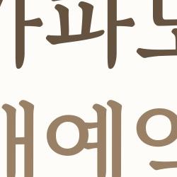 가파도 배예약, 실수로 못 탈 뻔한 사람들을 위한 2026 최신판 꼭 알아야 할 모든 것