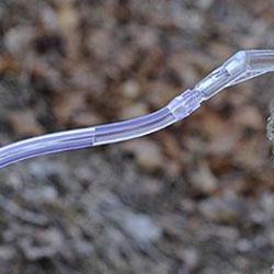 고로쇠효능 수액, 피로 싹 풀리는 비밀 마신 사람만 아는 효과