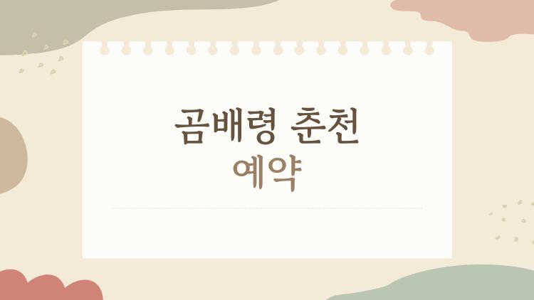 곰배령 춘천 예약