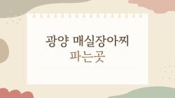 광양 매실장아찌 파는곳, 맛집과 직판장까지 한 번에 둘러보기