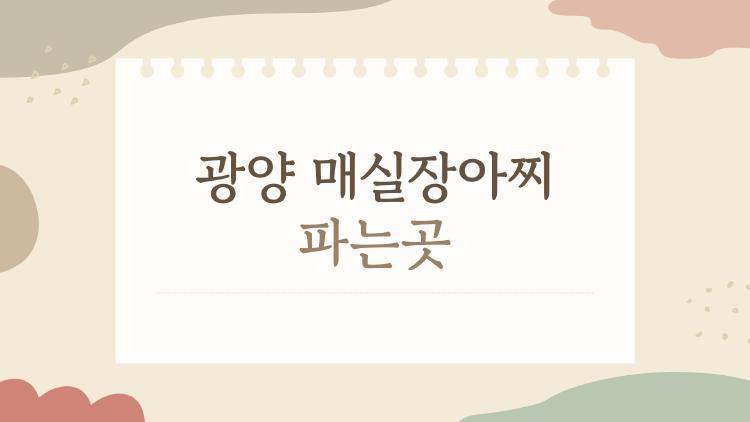 광양 매실장아찌 파는곳