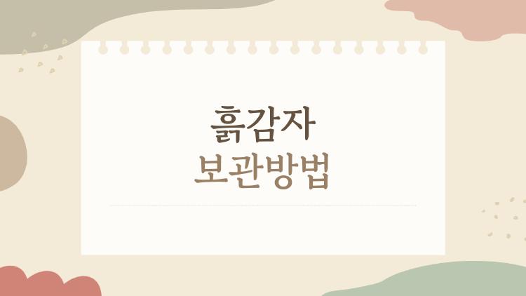 흙감자 보관방법