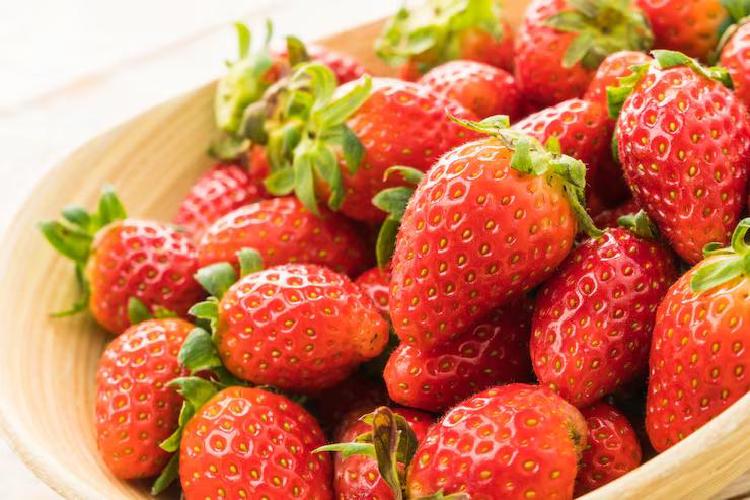 화성 딸기농장 체험, 아이가 환호하는 무제한 따기 꿀팁