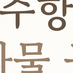 제주항공 수화물 규정, 1cm 초과로 공항에서 당황한 썰