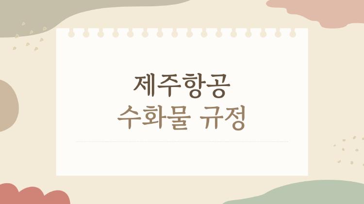 제주항공 수화물 규정