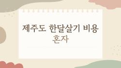 제주도 한달살기 비용 혼자, 얼마면 진짜 살 수 있을까?