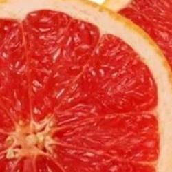 카라카라오렌지 맛, 속 빨간 게 왜 이렇게 꿀맛일까?