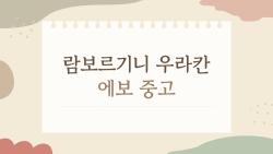 람보르기니 우라칸 에보 중고, 정말 살 만한 차가 맞을까?