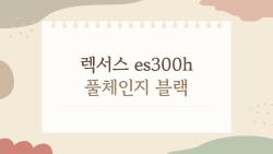 렉서스 es300h 풀체인지 블랙, 이렇게 타면 뒤에서 알아보는 이유