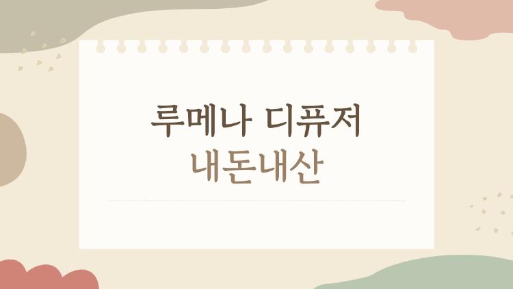 루메나 디퓨저 내돈내산