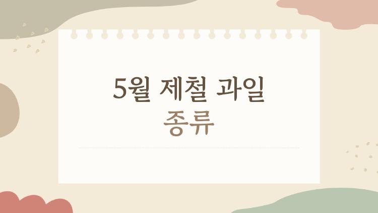 5월 제철 과일 종류, 요즘 다들 찾는 진짜 이유