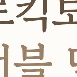 마이크로킥보드 맥시 폴더블 단점 충격, 23만원 날린 실수