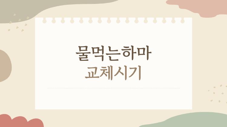 물먹는하마 교체시기