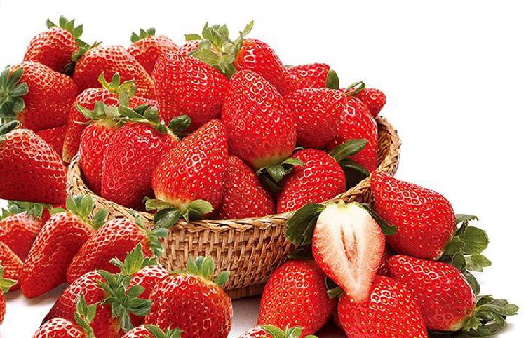 남양주 딸기농장 체험, 겨울에 따먹는 그 달콤함이 예술이래