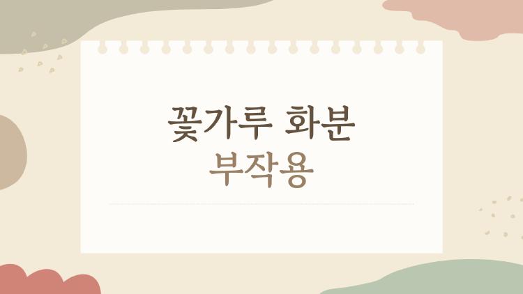 꽃가루 화분 부작용