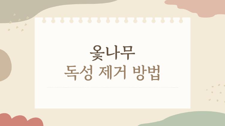 옻나무 독성 제거 방법