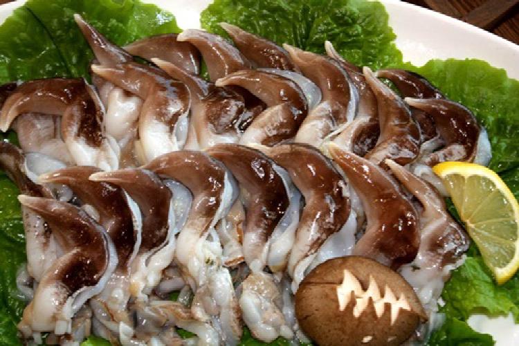 새조개 제철 시기, 올해 가격 폭등한 이유가 충격적임