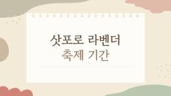 삿포로 라벤더 축제 기간, 올해 절정 놓치면 후회할걸?