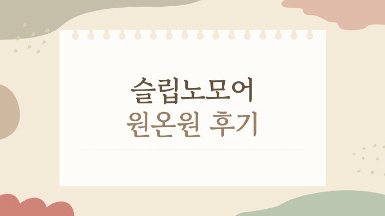 슬립노모어 원온원 후기