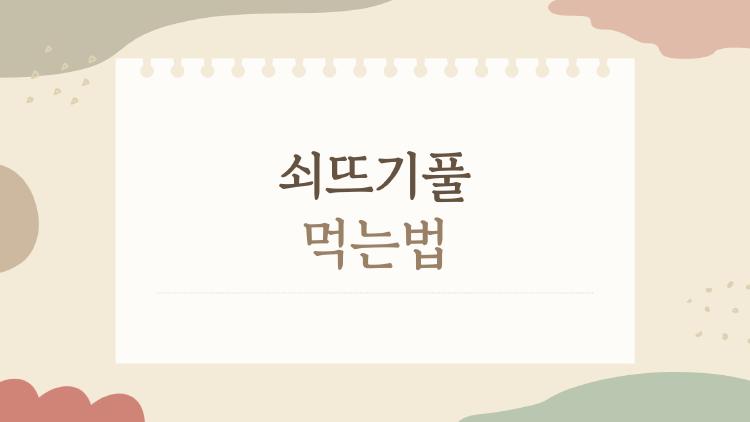 쇠뜨기풀 먹는법