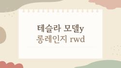 테슬라 모델Y 롱레인지 RWD, 지금이 선택의 갈림길인 이유